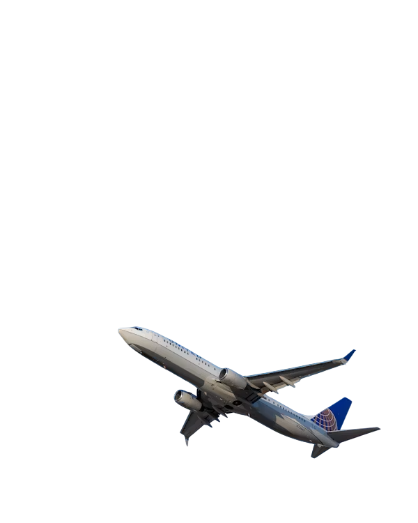 Paper Plane Graphic